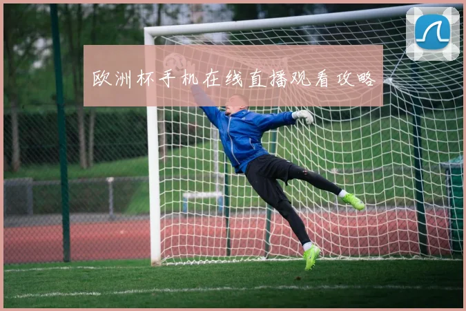 欧洲杯手机在线直播观看攻略