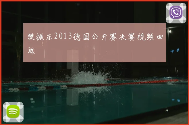 樊振东2013德国公开赛决赛视频回放