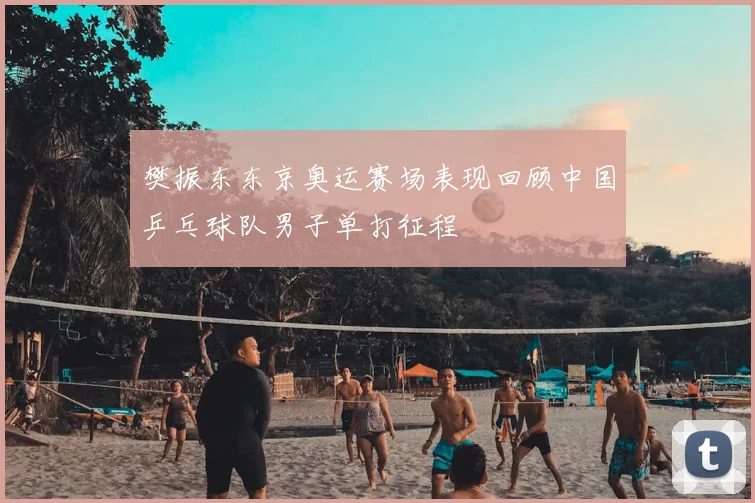 樊振东东京奥运赛场表现回顾中国乒乓球队男子单打征程